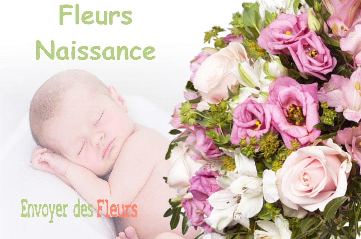 lIVRAISON FLEURS NAISSANCE à SAINT-MICHEL-EN-BEAUMONT